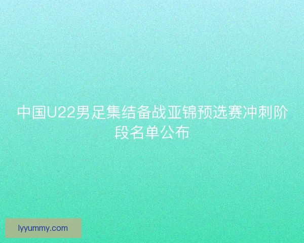 中国U22男足集结备战亚锦预选赛冲刺阶段名单公布